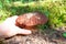 Woman hand pluck pick up edible white mushroom Cep, Porcino, bolete, boletus