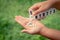 Woman hand pouring pills from a pill reminder box into her hand