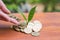 Woman hand putting coin of growth to profit finance