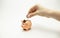 Woman hand putting coin into piggy bank. Saving money wealth and financial concept