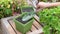 Woman Hand Putting and Flatten Soil in Green Flower Pot with Trowel at Garden