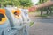 Woman hand putting used plastic bottle in public recycle bins or segregated waste bins in public park.