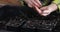 Woman hand sowing seeds in seedling pot, gardening, planting at home