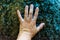 Woman hand on stone falling water