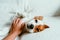 woman hand touching a cute relaxed jack russell dog lying on sofa, resting and relaxing. Pets indoors