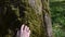 Woman hand walk imitation through mossy tree trunk.