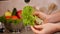 Woman hand wash dripping lettuce leaf at the kitchen sink