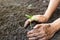 Woman hand watering and protect young tree on soil background