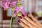 Woman hand with wine color nails polish and purple orchid flower