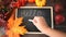 Woman hand writing on the chalkboard Hello fall text. Composition with pumpkin, autumn leaves and red pears. Cozy autumn mood conc