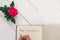 Woman hand writing in a gratitude journal on white wooden table background with pink rose decoration