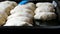 Woman hands baker put dough in the form of elongated round balls in a row on black baking sheet, close up view homemade