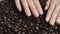 Woman hands choosing roasted coffee beans