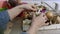 Woman hands cleaning vegetables in kitchen