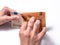 Woman hands counting fifty euro bills on white background