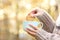 Woman hands dipping cookie into coffee cup