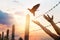 Woman hands frees the bird above a wire fence barbed