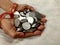 Woman hands full of indian coins , Selective Focus.