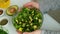 Woman hands giving Salad of fresh green vegetables and herbs. Cooking healthy diet or vegetarian food. Vegan menu. Fresh