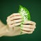 Woman hands with green nail polish holding some tropical leaves