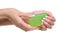 Woman hands hold the green soap