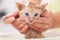 Woman hands holding a bathing a cute ginger kitten