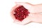 Woman hands holding cranberry