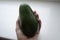 Woman hands holding fresh ripe organic green avocado choose best for cooking guacamole closeup