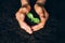 Woman hands holding green seedling, sprout over soil. Top view. Copy space. New life, eco, sustainable living, zero waste, plastic