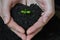 Woman hands holding Little seedling in black soil. Earth day and Ecology concept.