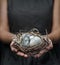Woman hands holding nest with marble Easter eggs with feathers on dark background. Happy Easter holiday, selective focus