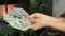 Woman hands are holding one hundred dollar bills. Female counts cash money. World economic crisis. Large stack of money. Close up