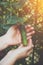 Woman hands holding an organic cucumber, close up hand. Raw Organic Mini Baby Cucumbers Ready to Eat. Ecological vegetable green