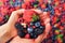 Woman hands holding organic fresh berries against the background of strawberry, blueberry, blackberries, currant, mint