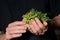 Woman hands holding paper package full of fresh sunflower and peas microgreens sprouts