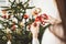 Woman hands holding a reindeer ornament putting it on the Christmas tree