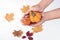 Woman hands holding small autumn pumpkins. Handmade kinitted pumpkins over fallen leaves. Autumn mockup. Halloween and