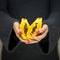 Woman hands holding some papayas, sensual studio shot