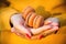 Woman hands holding tasty macarons close up. Autumn mood, fashion and lifestyle. Orange macarons for autumn celebrations