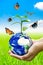 Woman hands holding world or globe above the field grass with butterfly on earth day.Environment conservation and energy saving