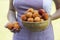 Woman hands keeping crockery with mellow apricots