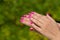 Woman hands with manicured pink nails closeup. Skin and nail car