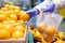 Woman hands in medical gloves chooses fresh oranges folding in a disposable plastic bag in supermarket.Protective against