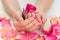 Woman Hands With Nail Varnish Holding Rose