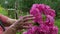 Woman hands picking flower bouquet in garden