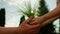 The woman hands the plant over to the man. Teamwork in the garden.