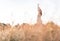 Woman with hands raised up in summer field enjoying freedom and landscape. Pleasure of being free in harmony with