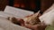 Woman hands read a book at the fireplace - holding her sleeping kitten