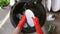 Woman hands in rubber gloves washing dishes