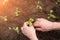 Woman hands seeding plants closeup